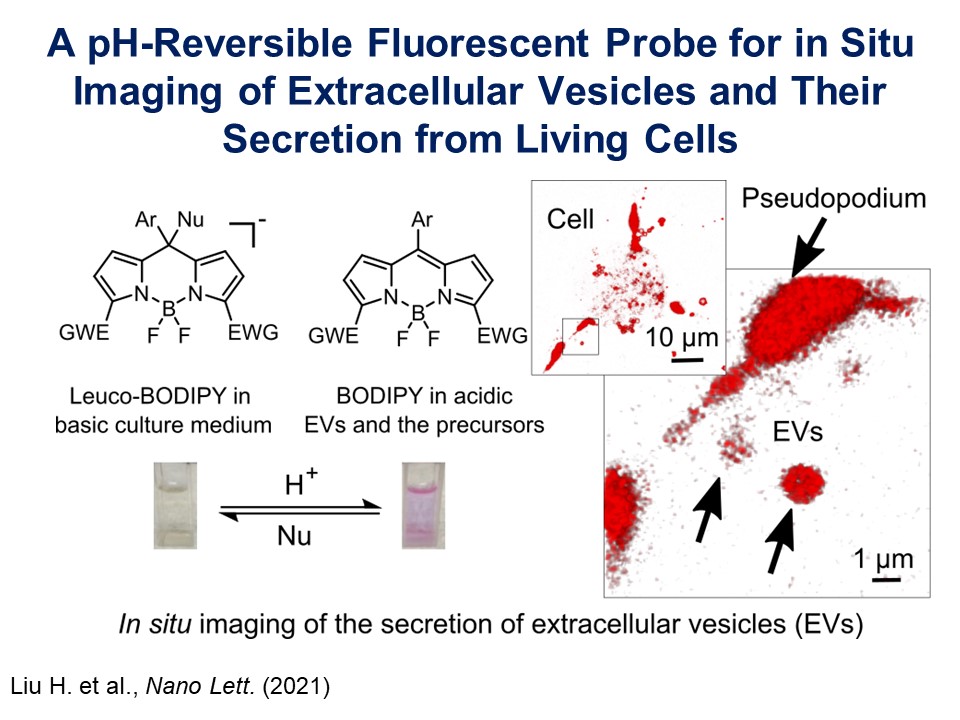 Dr Liu, Nano Letters